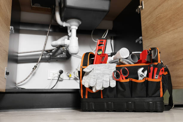 Best Local Plumber Services  in Lyons, CO